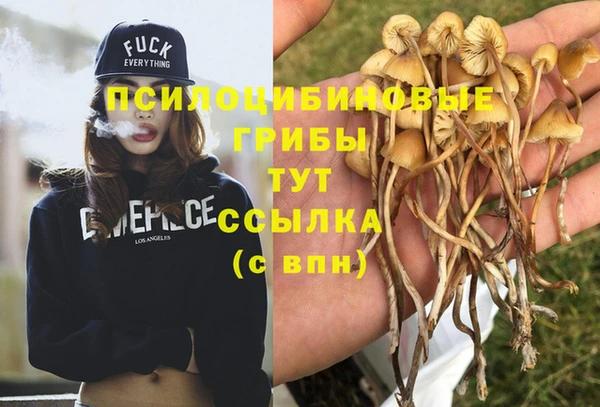МДПВ Белоозёрский