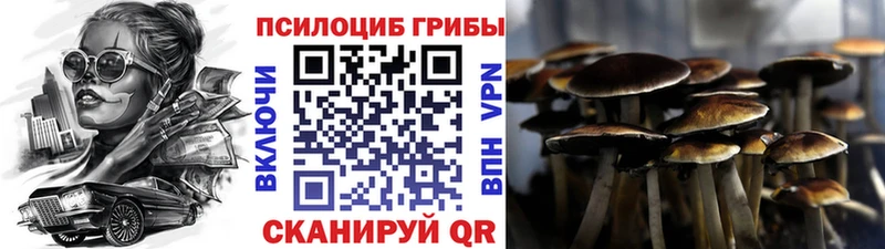 наркота  площадка телеграм  Псилоцибиновые грибы ЛСД  Выборг 